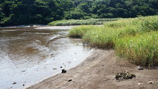 三浦半島に珍しい優しい海辺