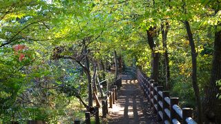 少し歩いてみたい時に丁度良い玉川上水緑道