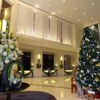 フロントとクリスマス・ツリー