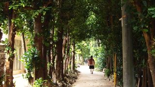 沖縄で一番いい風が吹き込むところ