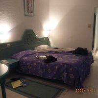 とっちらかしてますけど・・・・・。