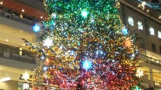 巨大なクリスマスツリーが出現しますよ