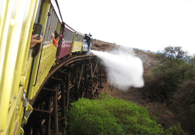 鉄橋と砂糖きび列車