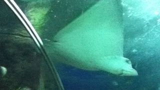 混雑していました