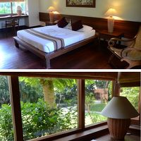 天井が高く広々。窓の外の緑も爽やかなヴィラ風客室。