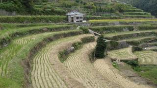 “日本の棚田百選”に指定されている