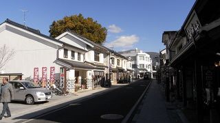 城下町の雰囲気を作っている商店街です。