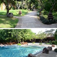 ホテル敷地内。緑が多い宿泊棟への通路やプールサイド。