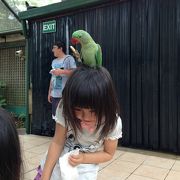 子供は注意（笑）