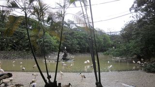 天気が良いときに行くのがおススメです☆