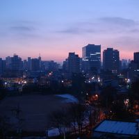 窓から。朝方。