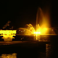 噴水のライトアップとレオ