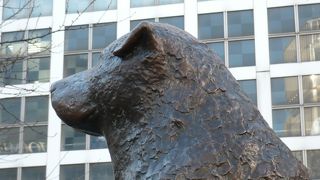 渋谷の待ち合わせスポット代表犬