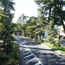 樹齢４００年の古木もあるとか