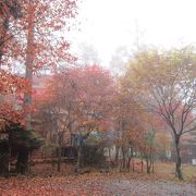 長野県の良さが凝縮したエリア