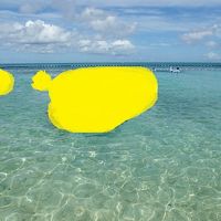 プライベートビーチ