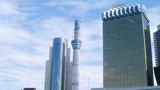 プチクルーズ♪