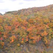 素晴らしい紅葉が見られます