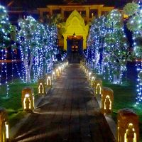 エントランス前の通路、夜のイルミネーション