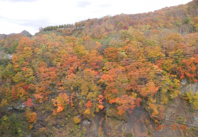 素晴らしい紅葉が見られます