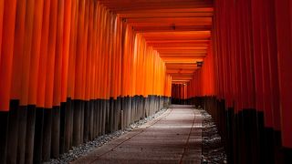 たくさんの赤い鳥居