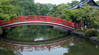 静かでかわいい神泉苑