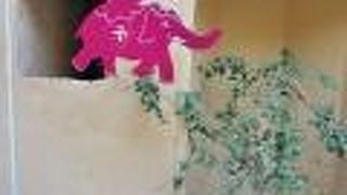 ホットピンク (ジャイプール店)