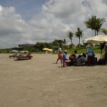 海岸の押し売りです