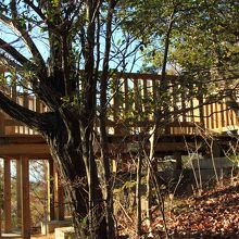 結構広い展望台