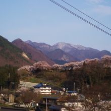 展望台から見た景色