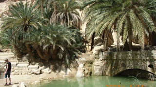 砂漠の中のオアシス　シェビカ