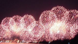 琵琶湖花火