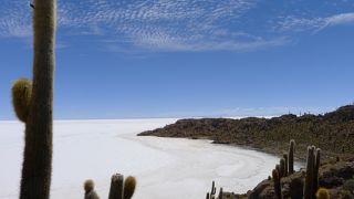 塩湖の中の島