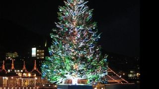 毎年ツリーが楽しみです＾＾