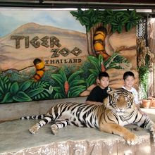 気安くトラ様に肘を…(＠_＠;)