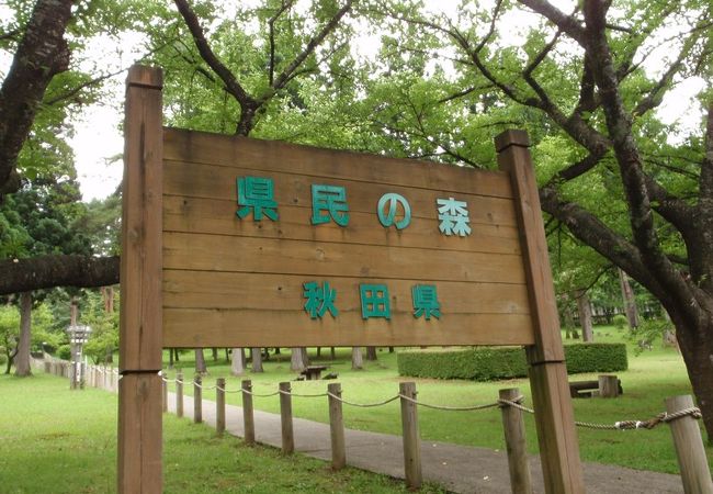 田沢湖西岸にある森林公園