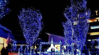 テラスモール湘南★駅直結の超巨大ショッピングモール！