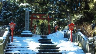 参道の木々が気持ちをおちつかせてくれます。