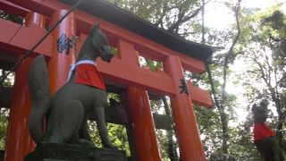 御　キ　ツ　ネ　さ　ま　～　☆