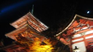 仁王門→西門→三重塔