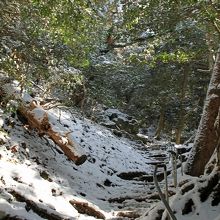 この坂をおりてきました。