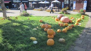 美味しい野菜を買いに行きます。