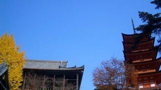 とてもすがすがしい場所