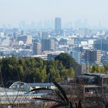 南山から見た、稲城市。遠くに新宿のビル群が見える。