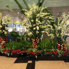 空港内のXmas装飾