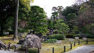 梅の時期も良い