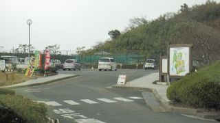 雪の中でも運動されてます