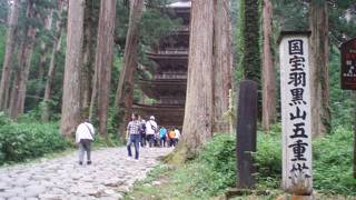 圧巻の五重塔と杉並木