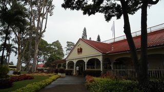 ソフトクリームがおすすめ