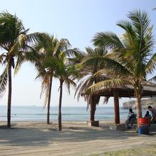 砂浜と海が目の前にひろがる公園